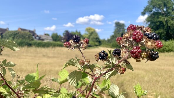 September Seasonal Sound Bath 