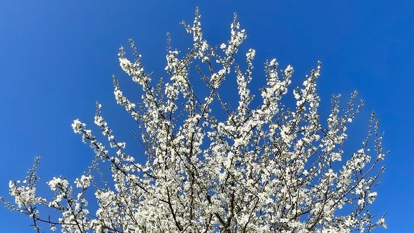 Seasonal Sound Bath - April 