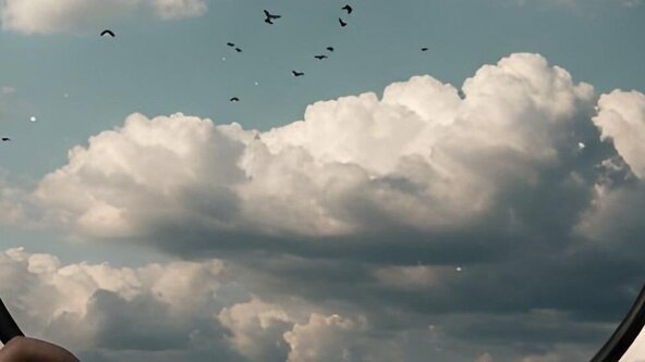 Shares of Silence Silent Wave-ONLINE