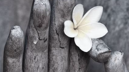 Funky Friday New Year Special