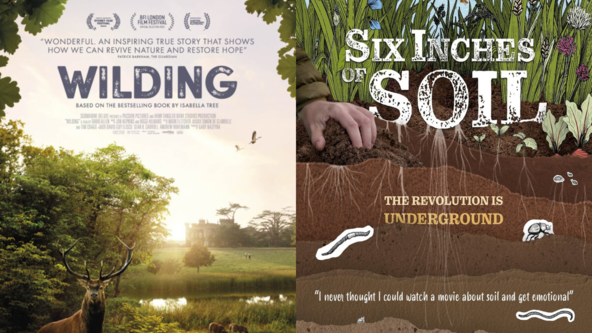 Environment Film Festival 