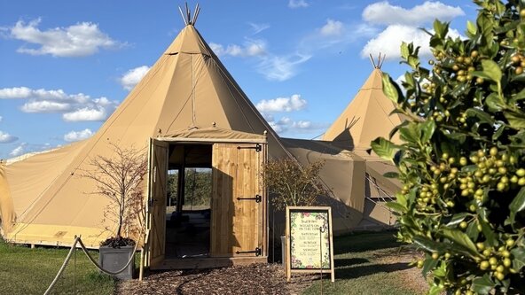 YOGA + REIKI AT THE TIPIS