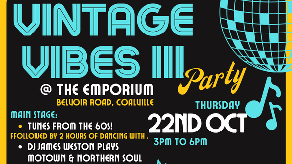 Vintage Vibes 3