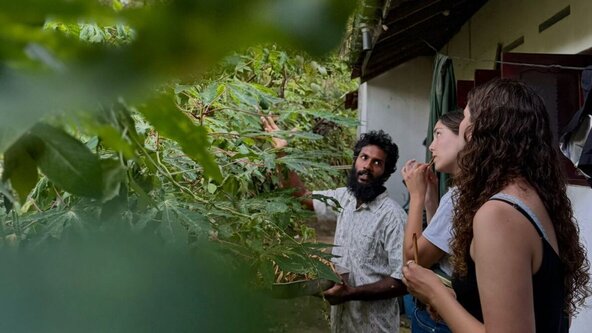 Ancestral Wisdom: Native Garden & Lunch with Kumbuk 🍛🍃
