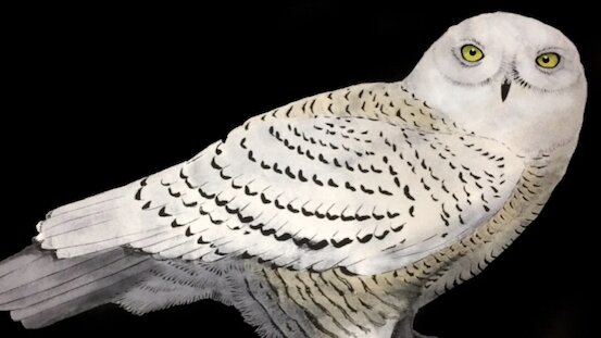 Carrie Carlson Inspired Paint, Print Art & T- shirt Workshop - Easter Holiday workshop