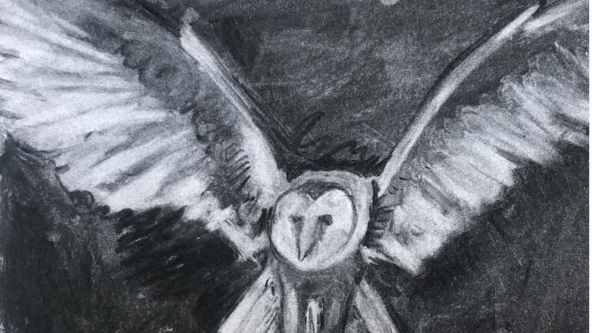 Wednesday Afternoon class - Academics - Ages 9 - 13