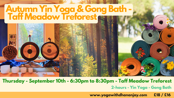 Thursday Evening - Yin Yoga & Gong Bath - Taff Meadow Treforest 