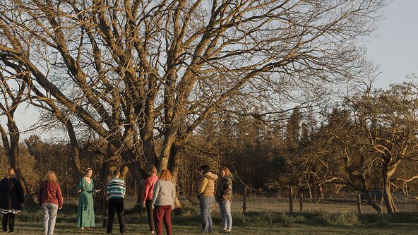 Awakening in Spring *Free community Walk*