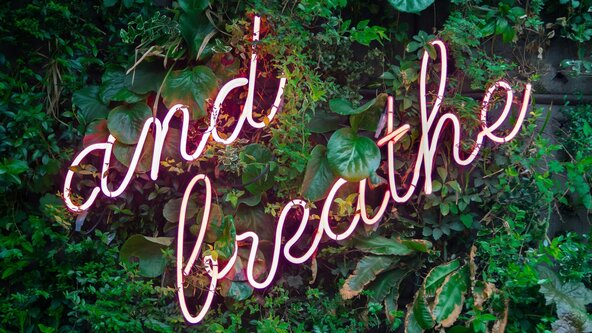 New Year Holotrophic Breathwork Journey