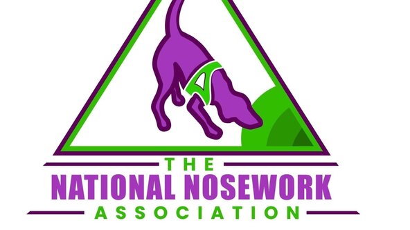 NNA Entry Level Focus Interior 