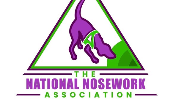 NNA Pre-Entry Trial 