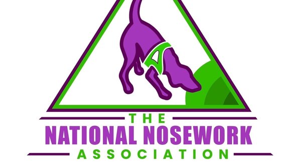 NNA Entry Level Trial 