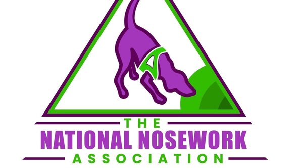 NNA Enhanced Exterior Focus Trial 