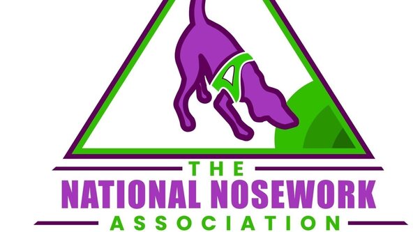 NNA Enhanced Trial 