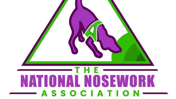 NNA Entry Trial  