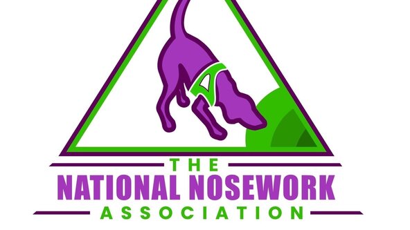 NNA Entry Stage Trial 