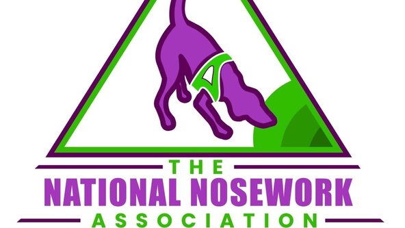 NNA Enhanced Trial 