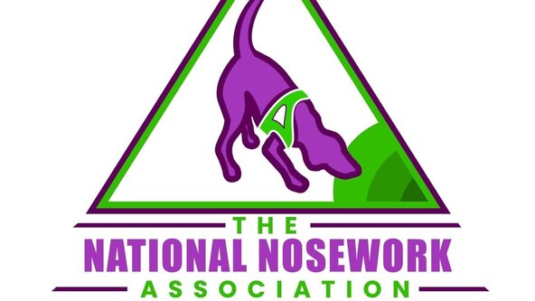 NNA Entry Level Trial 