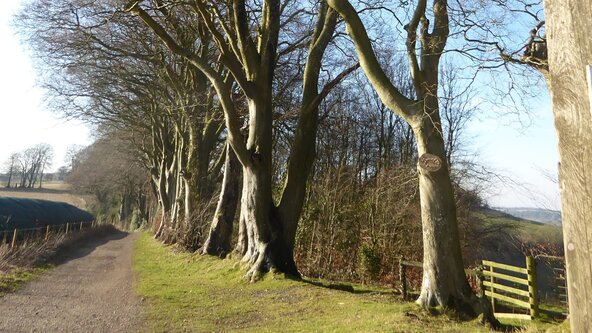 Exploring the Watership Down Trail