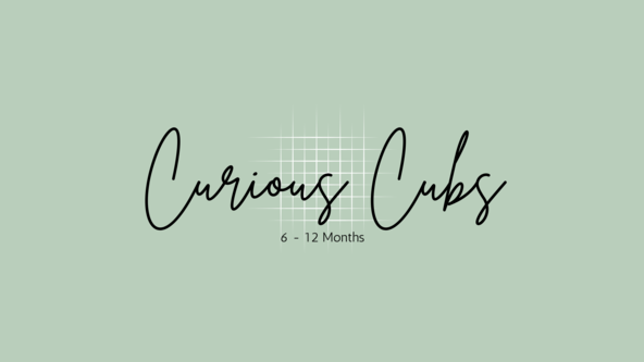 Curious Cubs: 4 months to pre-walking