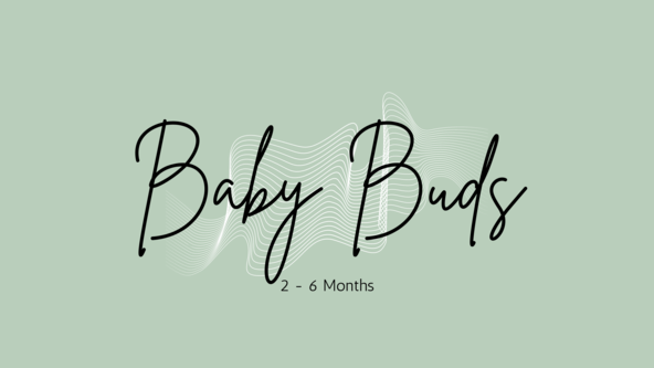 Baby Buds: 2 to 6 months