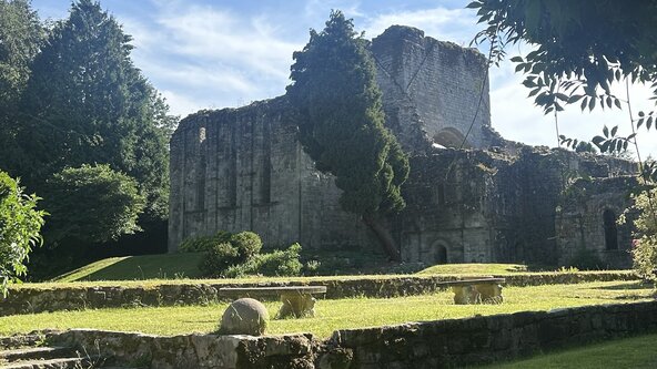 Earth & Sky ~ Outside Soothing Soundscape - Bulidwas Abbey 