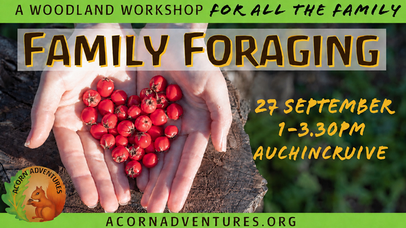 Woodland Workshop: Family Foraging