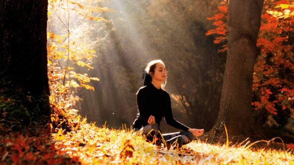 🍁STILLNESS WITHIN  Autumn Yin & Deep Rest