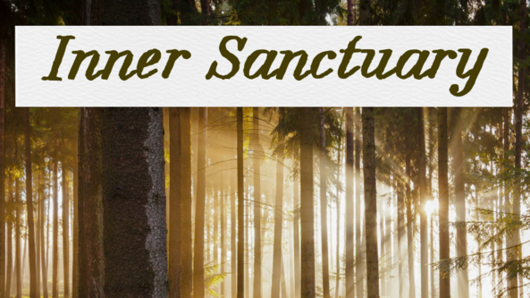 🌲INNER SANCTUARY - YIN & MEDITATION
