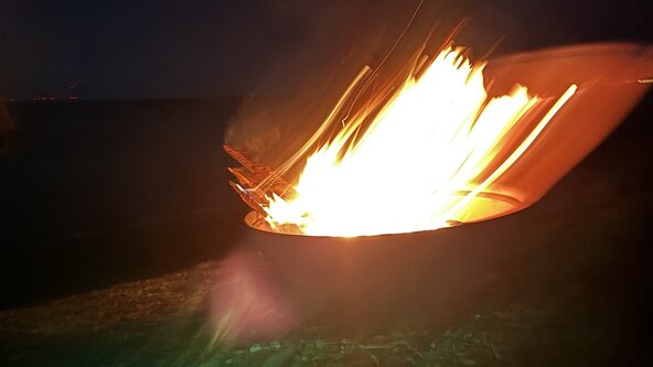 WildBop at Low Tide ~ Samhain Fire Gathering 🔥🌊