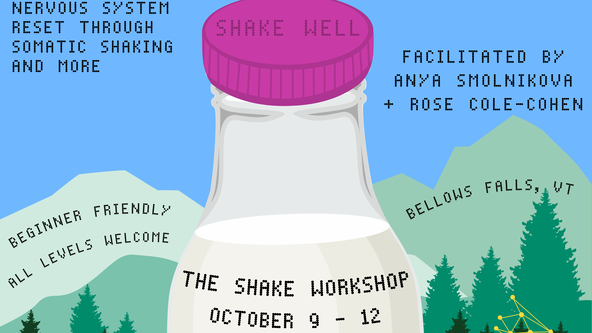THE SHAKE WORKSHOP