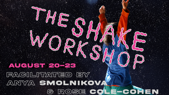 THE SHAKE WORKSHOP