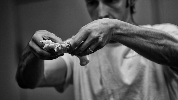 Phase 5 - The Upper Limbs 