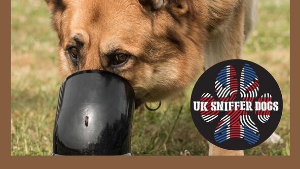 UK Sniffer Dogs (Bronze)