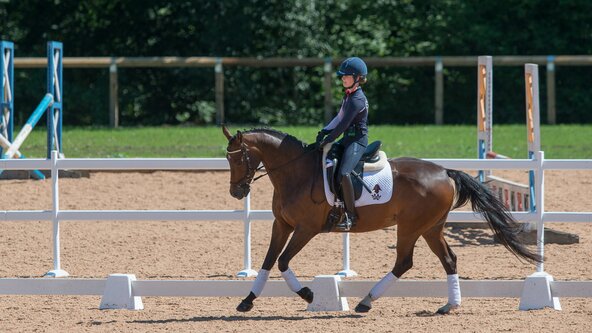 260330: GLOUCESTERSHIRE - BHS Stage 4 & 5 Ride/Lunge/Long Rein Training with Carole Broad FBHS (CPD)