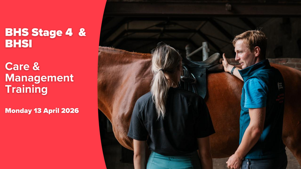 260413: SOUTH WEST - BHS Stage 4 & BHSI Care & Management Training with Sarah Spencer-Williams FBHS (CPD)