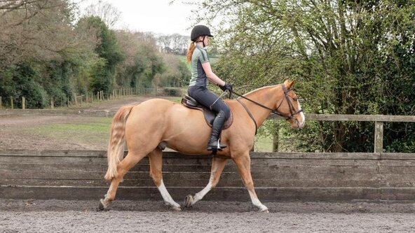 260829: GLOUCESTERSHIRE - Balanced Rider Flatwork Clinic with Tracy Bye