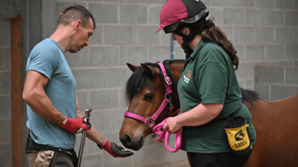Feral Pony Preparation Clinic in collaboration with The Mare and Foal Sanctuary