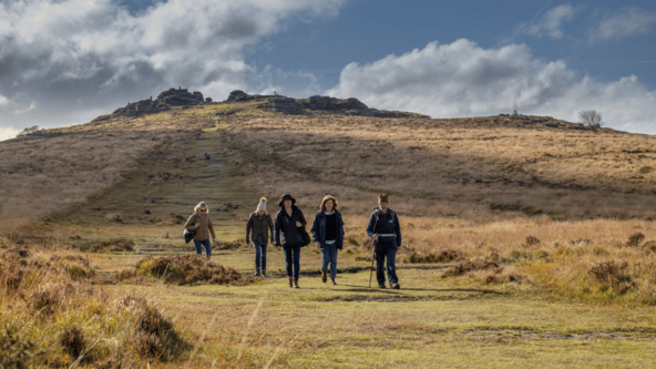 Understanding Feral Ponies - Dartmoor Walk and Talk