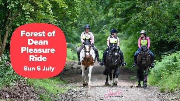 260705: GLOUCESTERSHIRE - BHS Forest of Dean Pleasure Ride