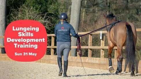 260531: SOMERSET - Lungeing Skills Development Training