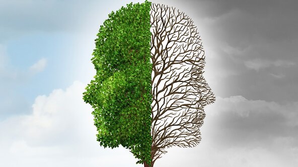 Minding Your Wellbeing - A Programme to Support Your Positive Mental Health and Wellbeing