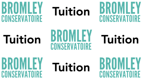 Summer 11+ Tuition