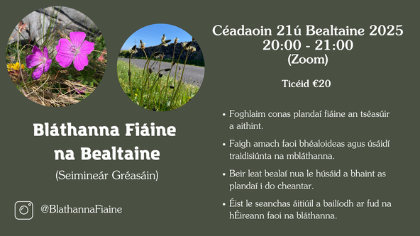 Bláthanna na Bealtaine - Seimineár Gréasáin Céadaoin 21 Bealtaine 2025