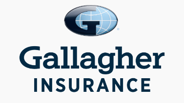 Managing Professional Risk