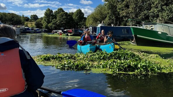Pennywort Clearance - invasive species