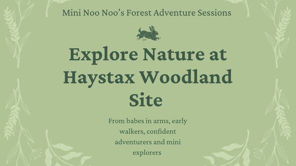 Mini Noo Noo's Forest Adventures 