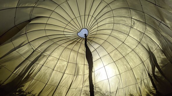 SEN in Mainstream - Early Years Toolkit (VIRTUAL LIVE ONLINE)