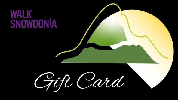 Gift Voucher - £100