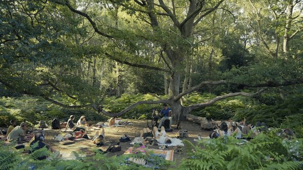 🌳 Live from the Forest 2026 🌳
